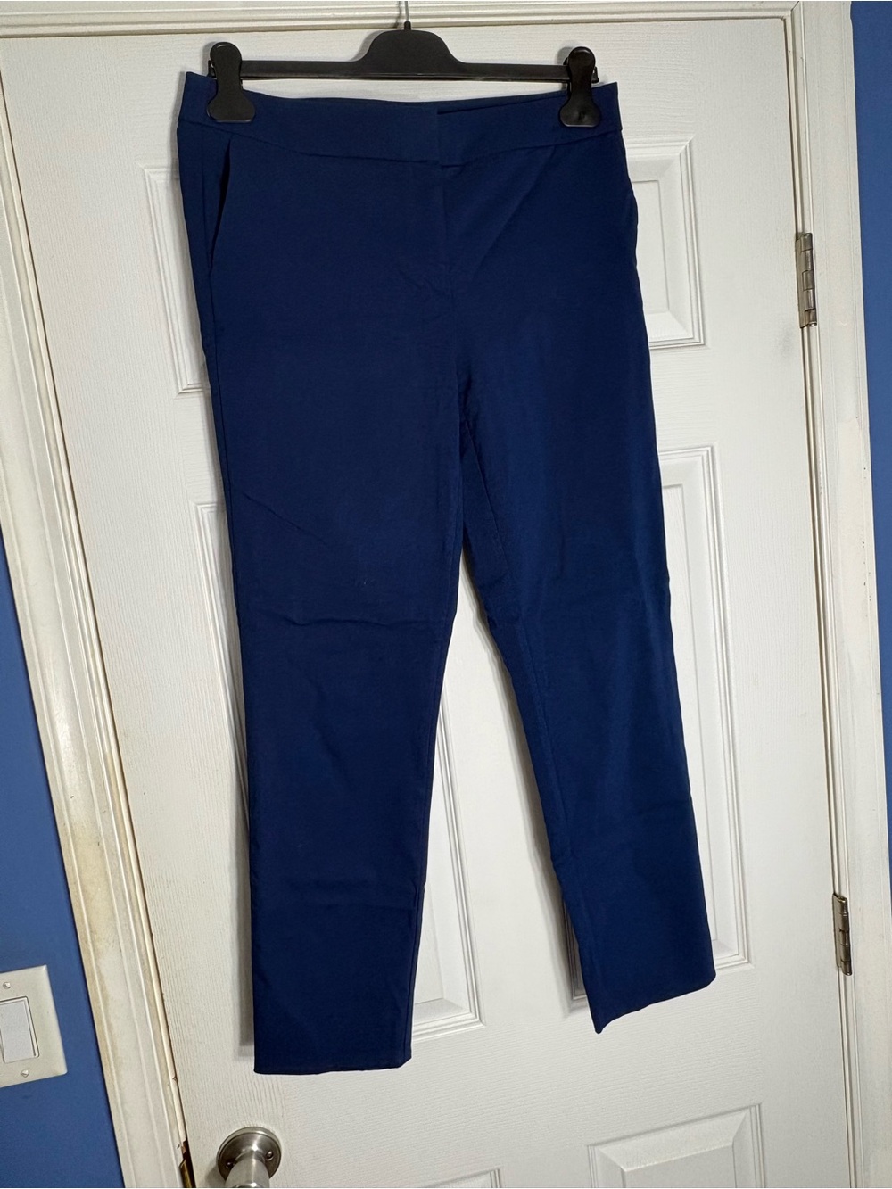 Rachel Zoe Cropped Slim Pants in Deep Blue
